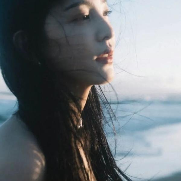 看不见的苏